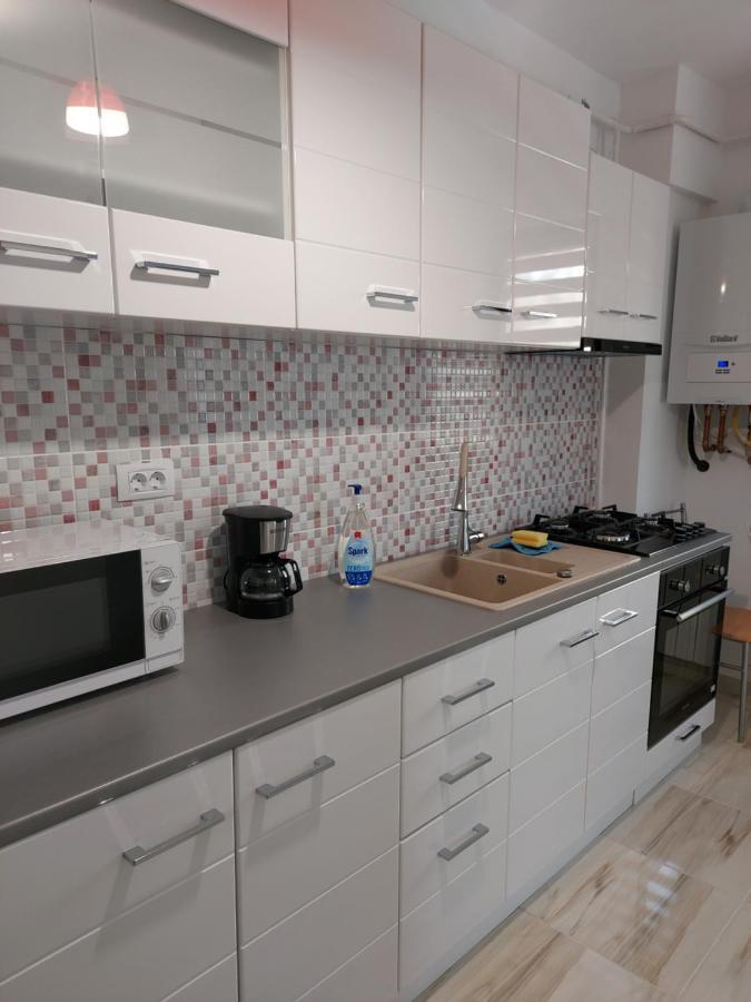 Appartement Bya Brown à Valea Lupului  Extérieur photo