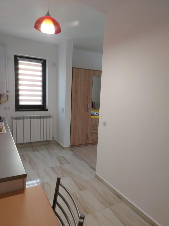 Appartement Bya Brown à Valea Lupului  Extérieur photo