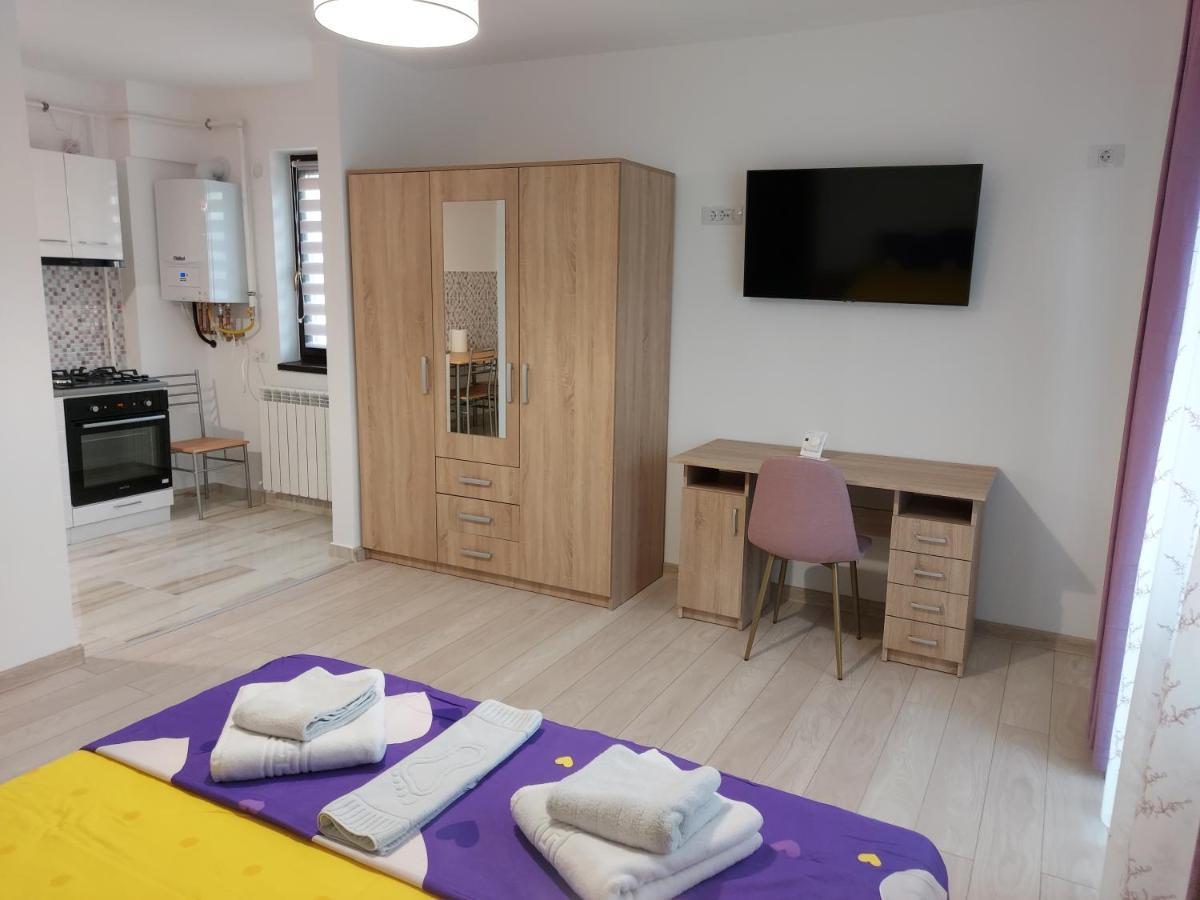Appartement Bya Brown à Valea Lupului  Extérieur photo